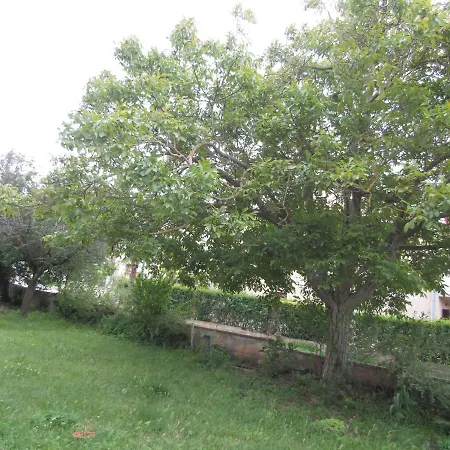 Gardens 2 Ρόβινι