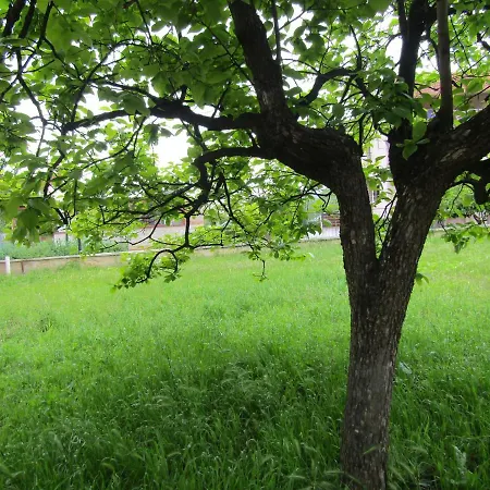Gardens 2 *