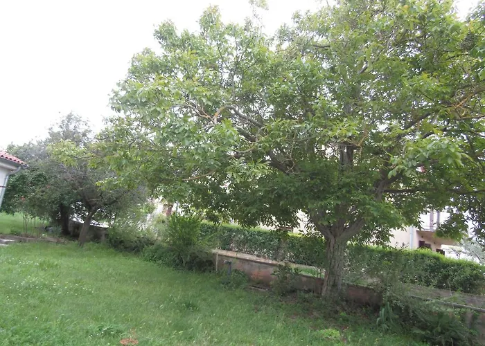 Gardens 2 Ρόβινι