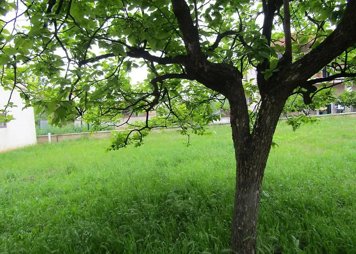 Gardens 2 *