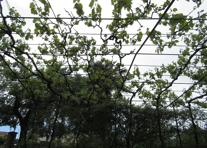 Διαμέρισμα Gardens 2 *