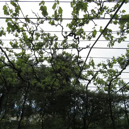 דירה Gardens 2 *