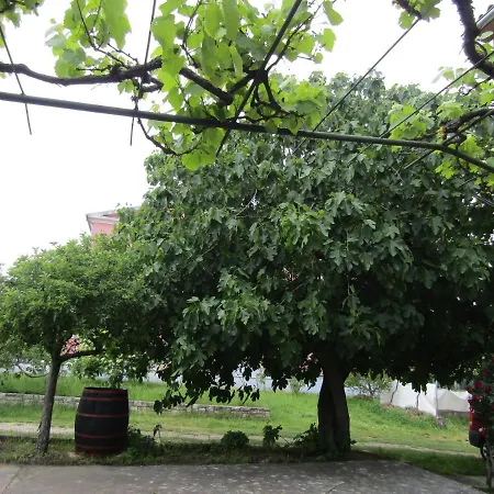 Gardens 2 דירה *